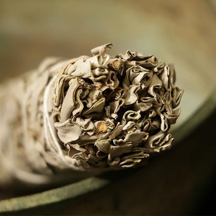 1PCS Pure Dry White Sage Stick For House Cleaning